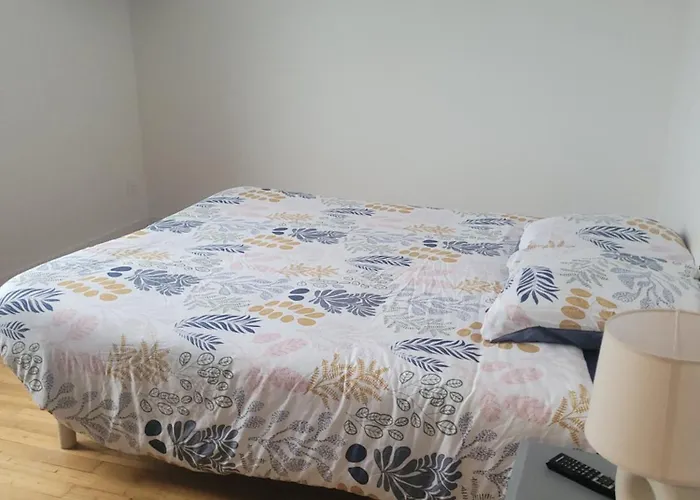 Appartement 2 Chambres Vue Loire
